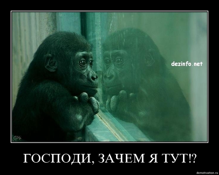 (700x560, 163Kb)