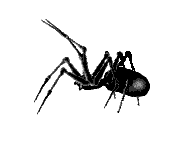 8d1f9ba8615a (170x150, 5Kb)