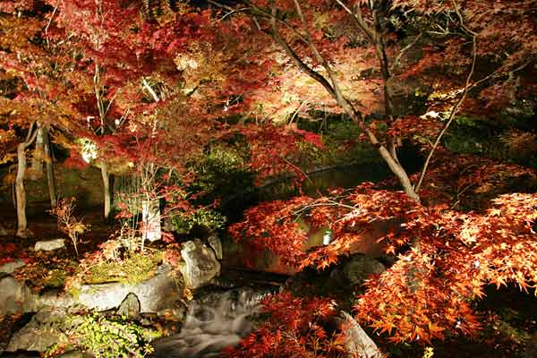  (600x400, 44Kb)