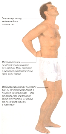  (221x448, 51Kb)