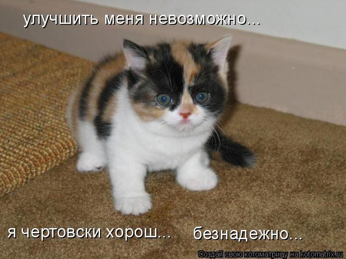  (699x524, 55Kb)