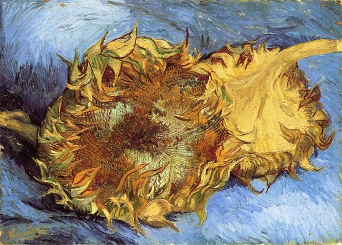  (700x501, 119Kb)