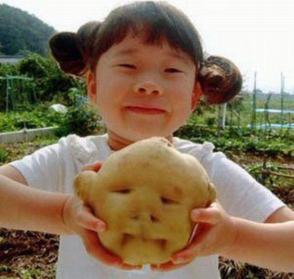 Китайская Картошка Фото