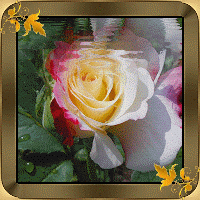  (200x200, 76Kb)
