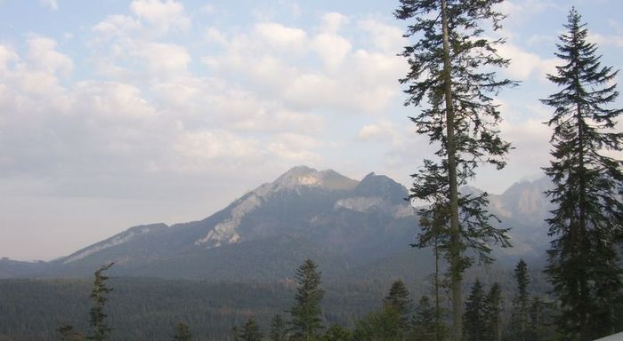  (700x384, 40Kb)