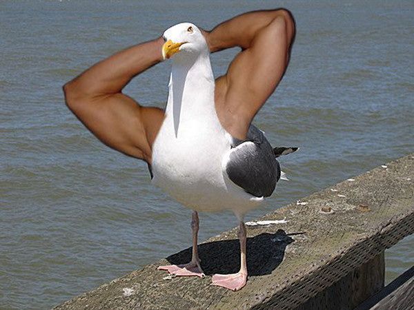 (600x450, 61Kb)