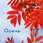  (150x150, 46Kb)