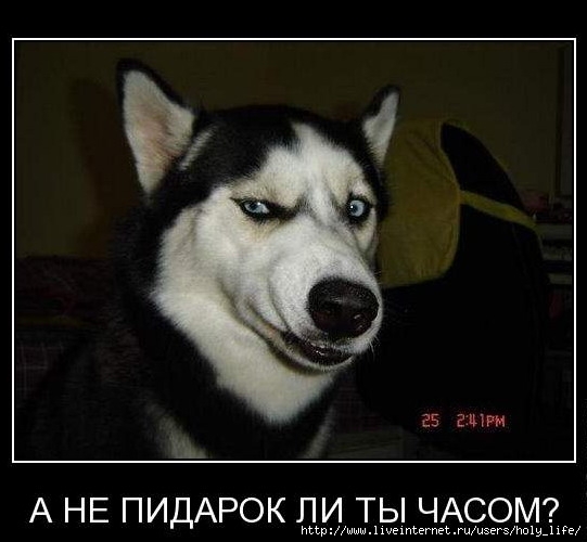  (541x500, 48Kb)