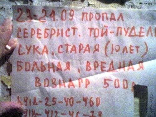  (500x375, 115Kb)