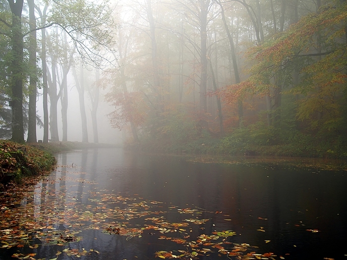  (700x525, 265Kb)