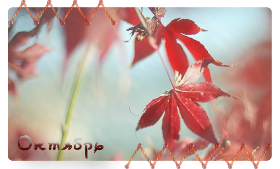 1 (570x345, 256Kb)