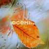  (100x100, 38Kb)