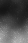  (100x150, 14Kb)