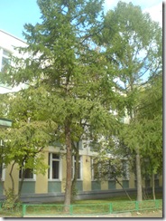 DSC00552