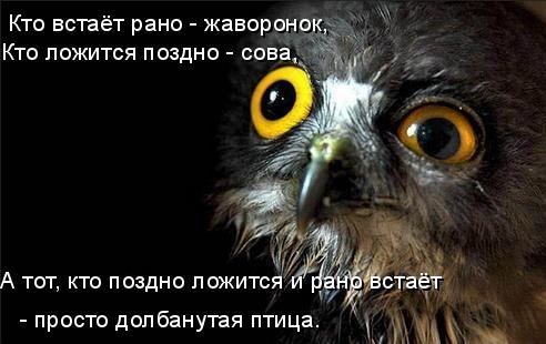  (492x310, 41Kb)