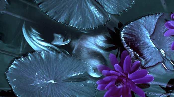  (700x393, 30Kb)