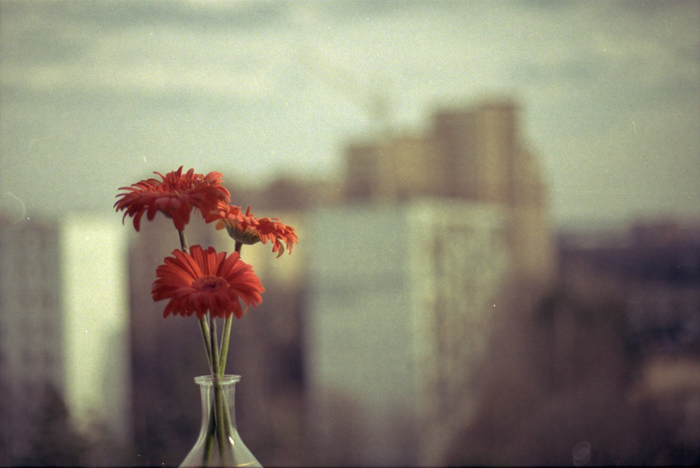  (700x468, 217Kb)