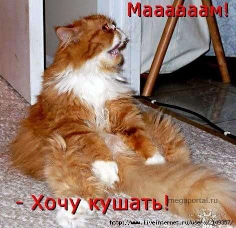  (471x455, 32Kb)