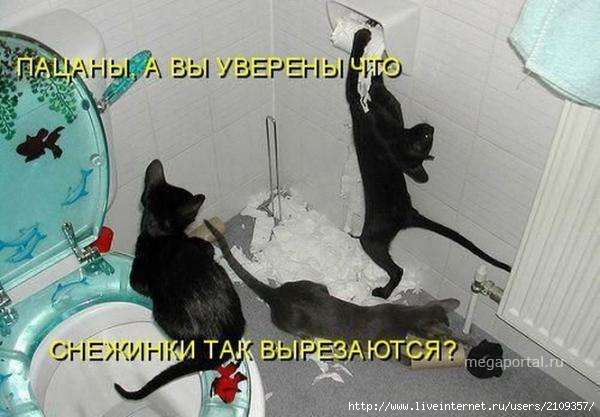  (600x417, 36Kb)