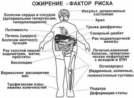  (450x329, 25Kb)