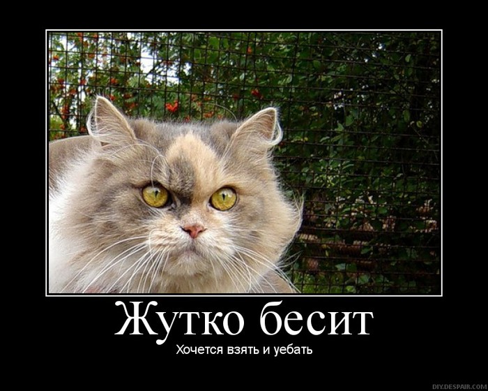  (700x560, 96Kb)