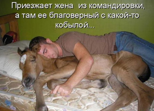  (600x430, 77Kb)