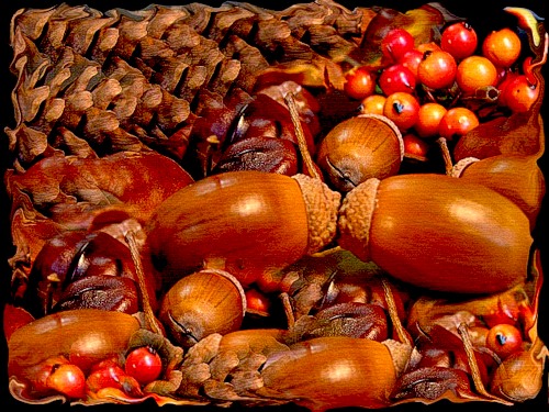  (500x375, 89Kb)