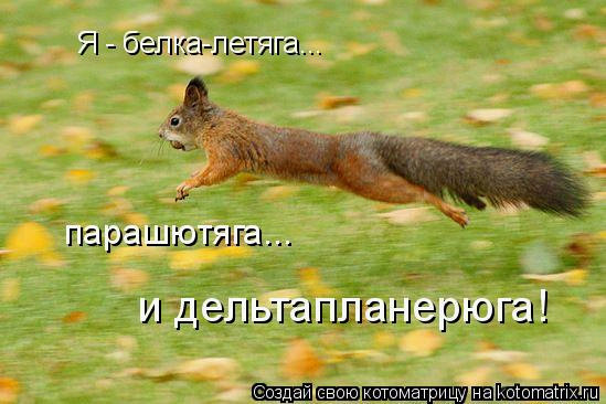 http://img0.liveinternet.ru/images/attach/c/1//49/917/49917301_B1.jpg