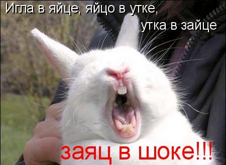 (450x328, 25Kb)