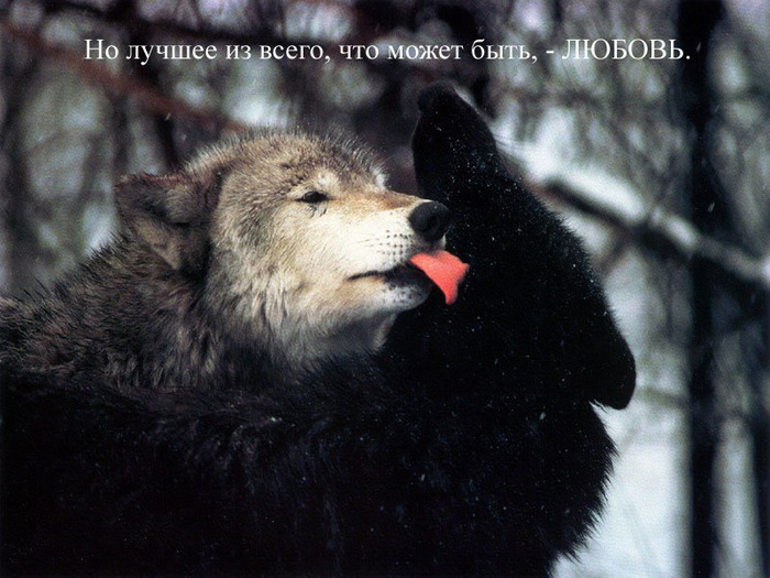  (700x525, 128Kb)