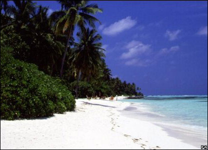 _45371156_maldivesbeach_1body (416x300, 30Kb)