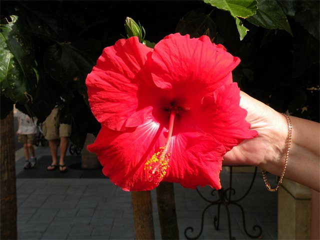  (640x480, 49Kb)