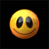  (100x100, 95Kb)