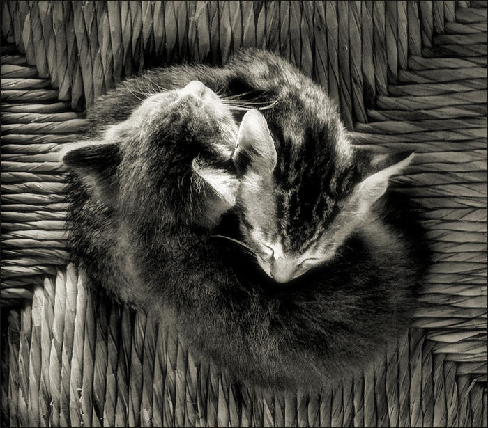  (700x615, 199Kb)