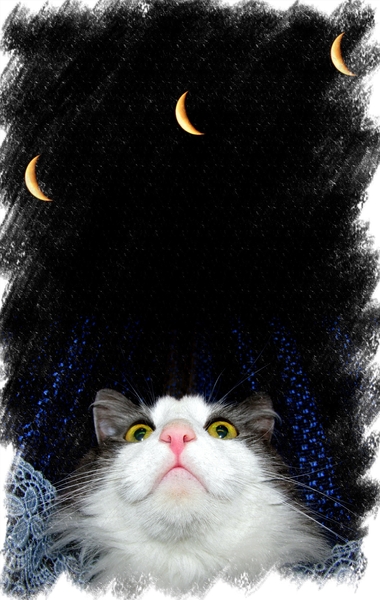  (380x600, 176Kb)