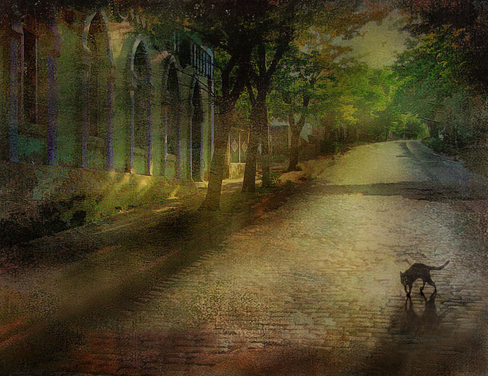  (699x539, 194Kb)