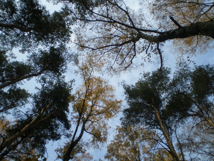  (700x525, 209Kb)