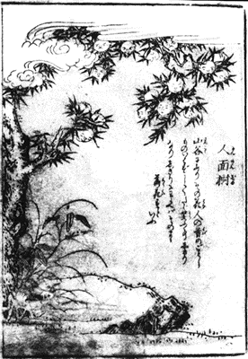  (276x400, 36Kb)