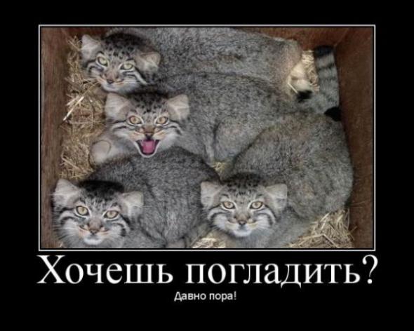 3cef94c2d14b7ba7c0c62810b0f_prev (590x472, 38Kb)