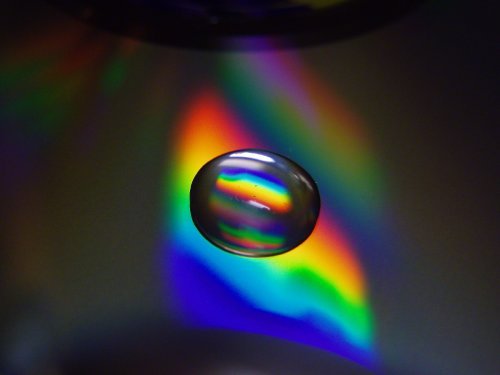  (500x375, 14Kb)