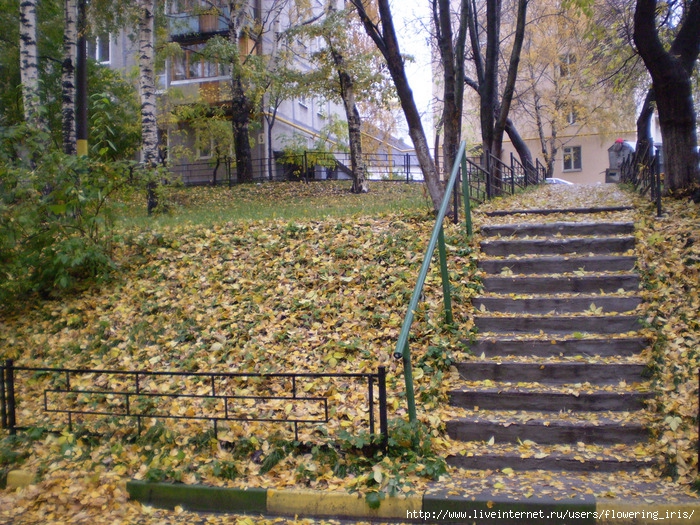  (700x525, 252Kb)