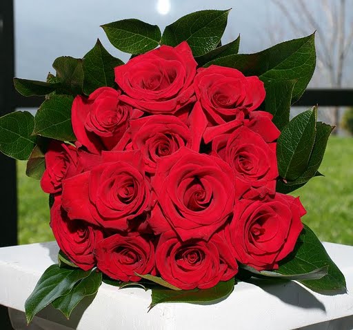 flowers_red_roses_bg (512x478, 48Kb)