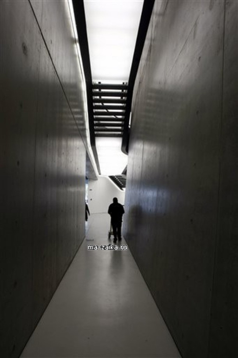 Maxxi        13  2009.