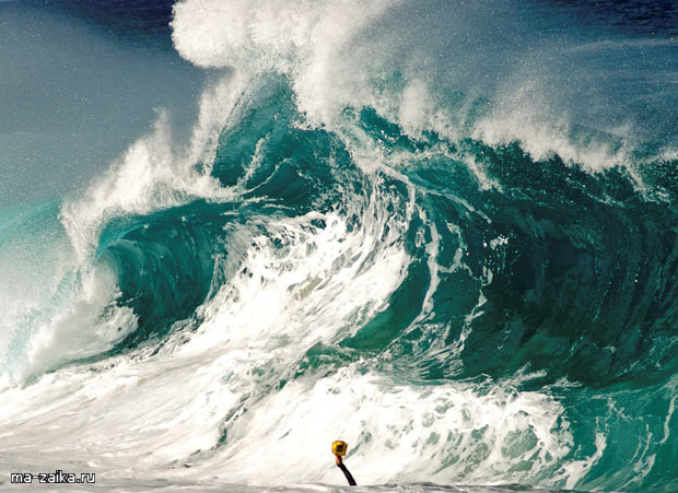   Surf   Little.