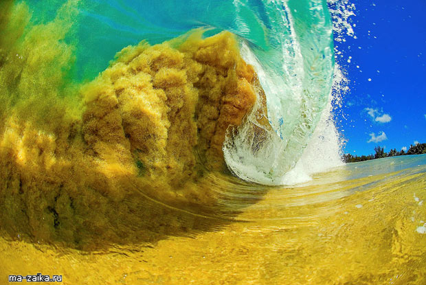   Surf   Little.