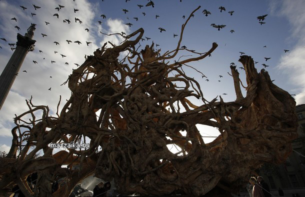  " " (Ghost Forest)    , 16  2009.