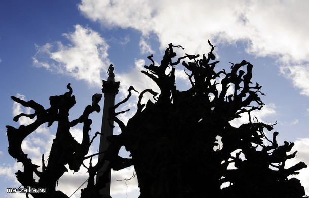 " " (Ghost Forest)    , 16  2009.