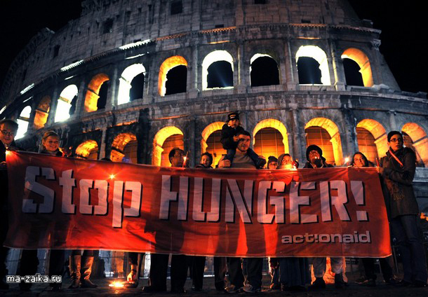       (World Food Summit FAO), 15  2009     .