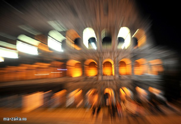      (World Food Summit FAO), 15  2009     .