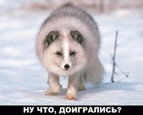  (500x402, 27Kb)